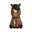 Bruin, Wit, Zwart