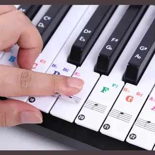 HobbySter Klavier Aufkleber - Keyboard Aufkleber - Einfache Noten Lernen - 49/54/61/88 Tasten - Farbe