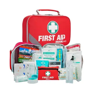 FavorAid 258-delige Ehbo Kit - Ehbo Koffer - Verbanddoos - Verband - Noodpakket