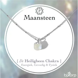 Bixorp Gems Heiligbeen Chakra Ketting Maansteen + Verguld Zilver Roestvrij Staal - 36cm + 8cm Verstelbaar