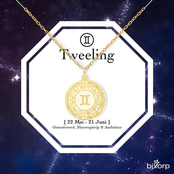 Bixorp Stars Sterrenbeeld Ketting Tweeling / Gemini - Stainless Steel Medailon Met Goud Verguld - 45cm Ketting Met Zodiac Hanger - Inclusief Cadeau thumbnail