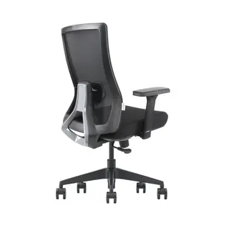 Stane Bürostuhl Ergonomisch – Schreibtischstuhl [3D-Armlehnen Und Lendenwirbelstütze] Gaming-Stuhl Bis Zu 110 Kg [Verstellbare Rückenlehne]Eine