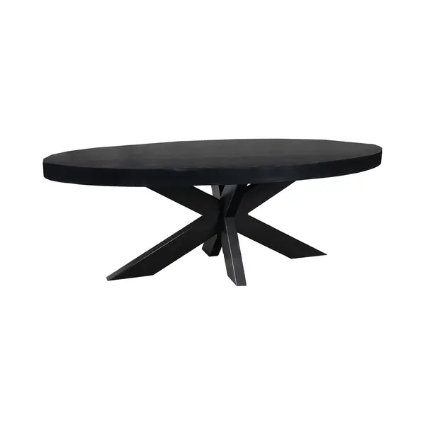 Lizzely Garden & Living Salontafel Ovaal Mangohout 130cm Jimmy Zwart Duurzaam Hout Mango Ovale Bijzettafel thumbnail