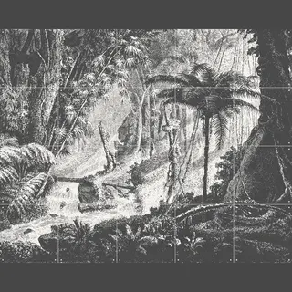 Ixxi Brazilian Jungle, Aster Edition - 100 X 80 Cm - Gratis Ophangtool - Grote Wanddecoratie En Posters - Vintage, Houtsnede, Illustraties