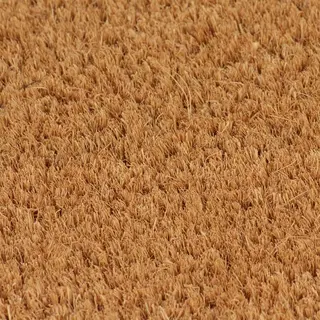VidaXL Fußmatte Natur 50x80 Cm Kokosfaser Getuftet