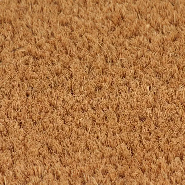 VidaXL Fußmatte Natur 50x80 Cm Kokosfaser Getuftet thumbnail