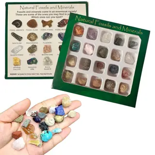 Winkrs Fossielen & Edelstenen Verzameling - Mix Van 20 - Geschenk Doosje - 13x13CM
