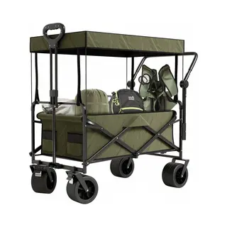 Avalo Bolderkar Met Dak Xl - Opvouwbaar - Tot 110KG - 97x60x105 Cm - 120L - 360º Wielen - Groen