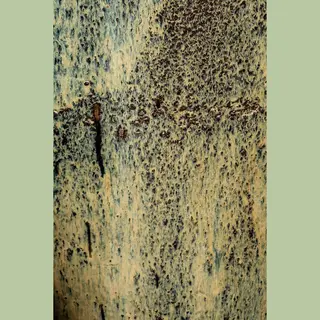 Ptmd Collection Ptmd Bloempot Lisie - 71x71x160 Cm - Keramiek - Blauw