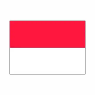 Bellatio Decorations Vlag Van Indonesie Stickers - 10x - 7 X 10 Cm - Landen - Indonesische Vlaggetjes - Versiering - Feestartikelen