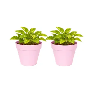 Mega Collections Plantenpot / Bloempot - 2x - Kunststof - Lichtroze - Binnen/buiten - D20 X H17 Cm