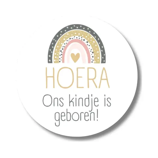 Geboorte Stickers - Hoera Ons Kindje Is Geboren - Regenboog - 20 Stuks - Memories Are Timeless thumbnail