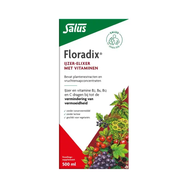 3x Floradix Vloeibaar Ijzer-Elixer Met Vitamines 500 Ml thumbnail