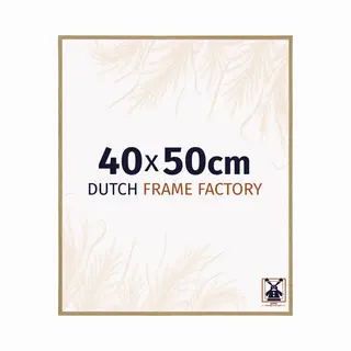 Dutch Frame Factory - Bilderrahmen 40x50 Cm - Buche Hell - Bilderrhamen Aus Kunststoff Mit Antireflex Kunstglas - Fotorahmen 40x50 Cm - Easy