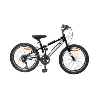 VidaXL Mountainbike 24 Zoll 6-Speed Für 8-12 Jahre Schwarz
