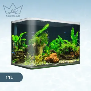 AquaKonings – Aquarium – Aquarium Met Afgeronde Hoeken - Aquariumkit 30x18x21 11L