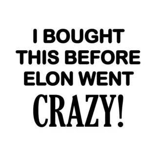 I Bought This Before Elon Went Crazy ! - Ik Kocht Deze Voordat Elon Gek Werd! Geschikt Voor Tesla Model S 3 X Y