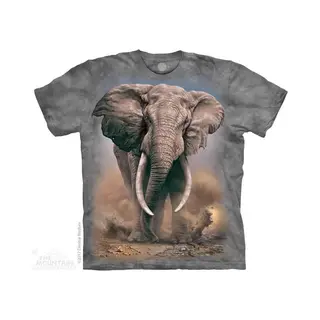 The Mountain T-shirt African Elephant S