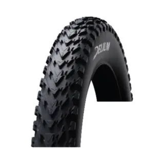Delium Thundr Buitenband Fatbike - Etrto 100-406 - 20x4.00 - Zwart