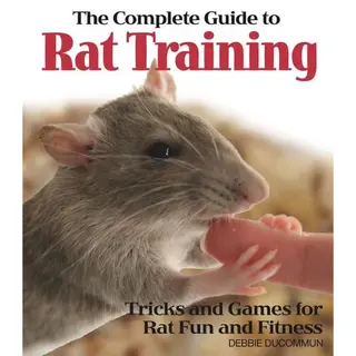 The Complete Guide To Rat Training