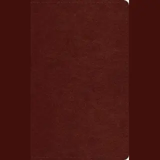 Crossway Esv Pocket Bible (Trutone, Chestnut), Esvbible Trutone, Chestnut