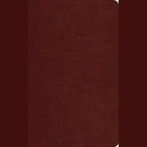 Crossway Esv Pocket Bible (Trutone, Chestnut), Esvbible Trutone, Chestnut thumbnail