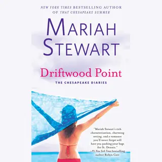 Isbn Driftwood Point boek Engels Massamarkt paperbacks 384 pagina's