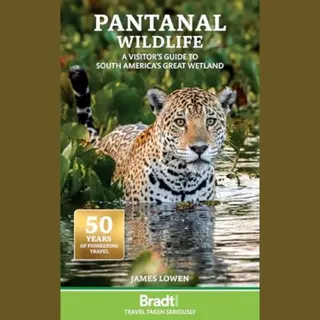 Pantanal Wildlife