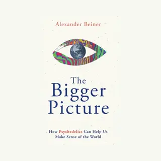 The Bigger Picture