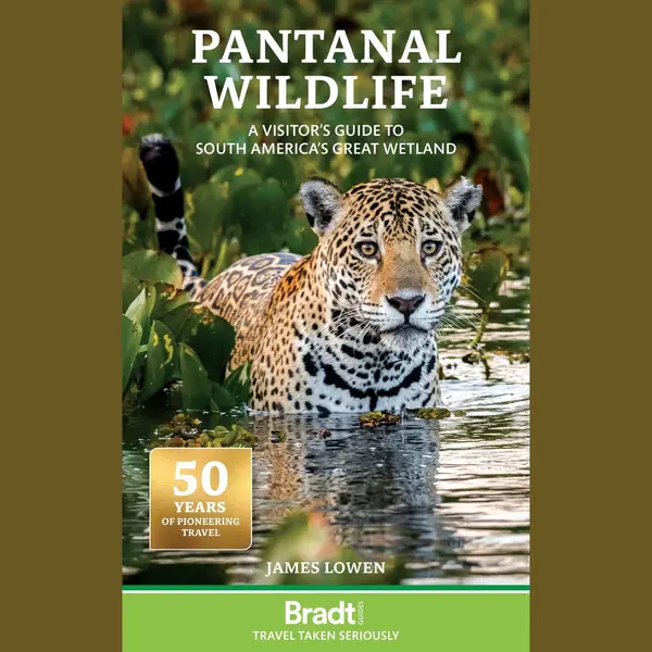 Pantanal Wildlife, A Visitor’s Guide To South America’s Great Wetland thumbnail