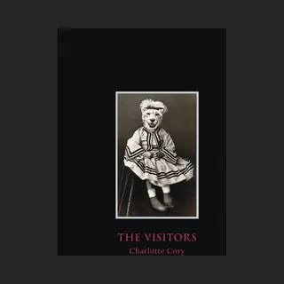The Visitors