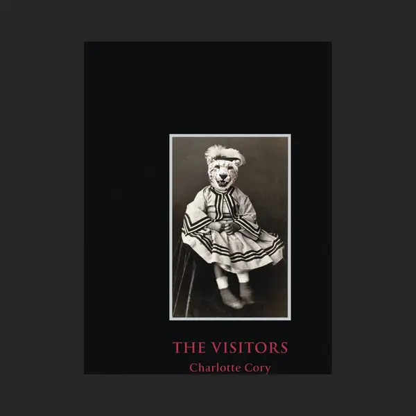The Visitors thumbnail