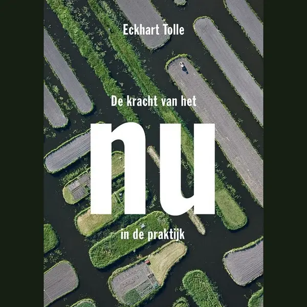 De Kracht Van Het Nu In De Praktijk thumbnail