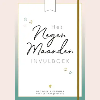 Het Negen Maanden Invulboek