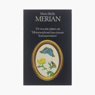 Maria Sibylla Merian, De Mooiste Platen Uit 'Metamorphosis Insectorum Surinamensium'