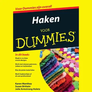 Julie Holetz Haken Voor Dummies / Voor Dummies