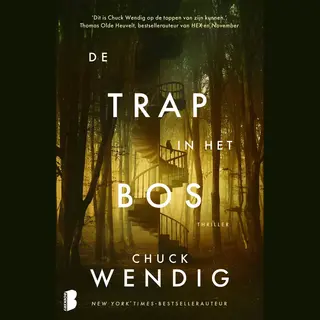 De Trap In Het Bos
