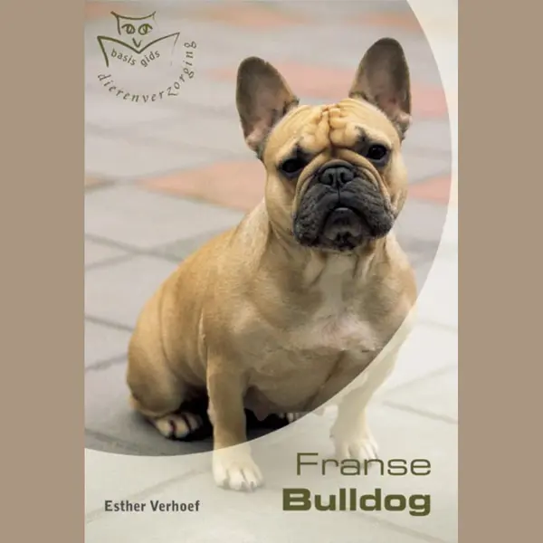 Franse Bulldog Basisgids thumbnail