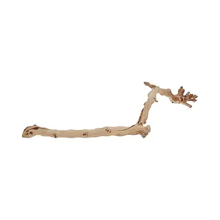 Exo Terra Naturwaldzweig 60 Cm