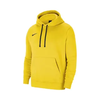 Nike Sweatshirt Team Park 20 Hoodie