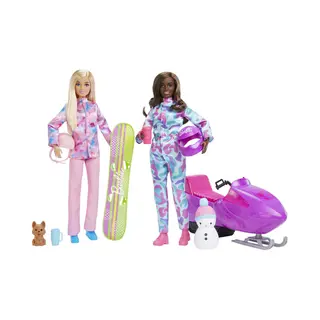 Barbie Dolls and Accessories