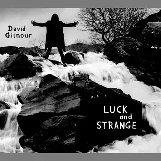 Sony Music Cmg Luck And Strange (Deluxe Set) [Vinyl]