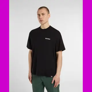Dickies Burns Ss T-Shirt Reinschwarz - Xl