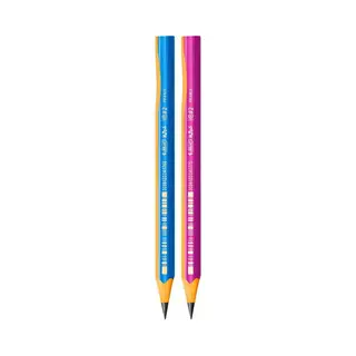 Bic 919262 grafietpotlood 12 stuk(s)