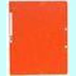 Exacompta 5564E Ordner Karton Orange A4