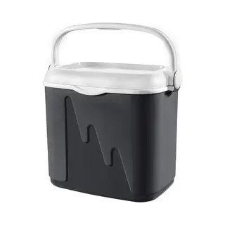 Curver Koelbox - 32L - Antraciet