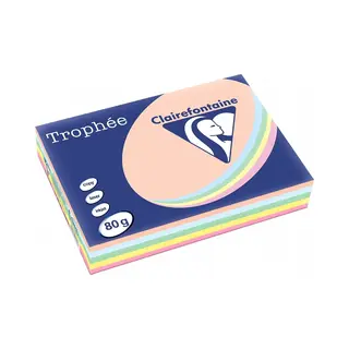 Clairefontaine 1703C Druckpapier A4 (210x297 mm) 500 Blatt Mehrfarbig