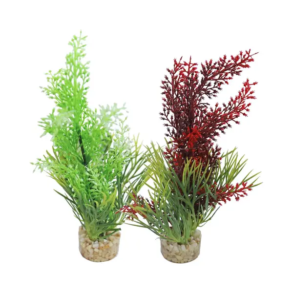 Sydeco Aquariumplant 19 Cm Per 1 Stuk thumbnail