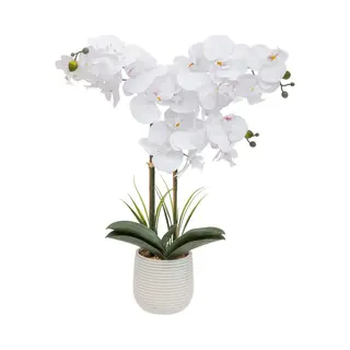 Atmosphera Orchidee Bloemen Kunstplant - In Een Witte Bloempot - Witte Bloemen - H60 Cm