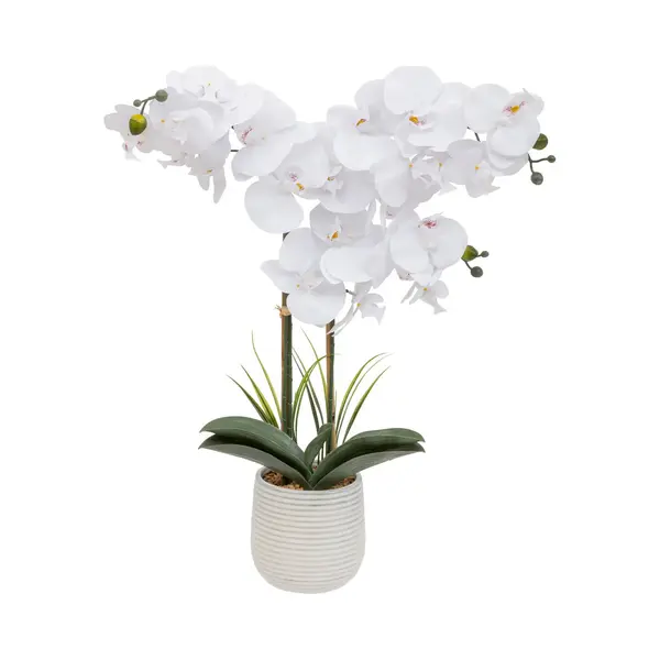 Atmosphera Orchidee Bloemen Kunstplant - In Een Witte Bloempot - Witte Bloemen - H60 Cm thumbnail